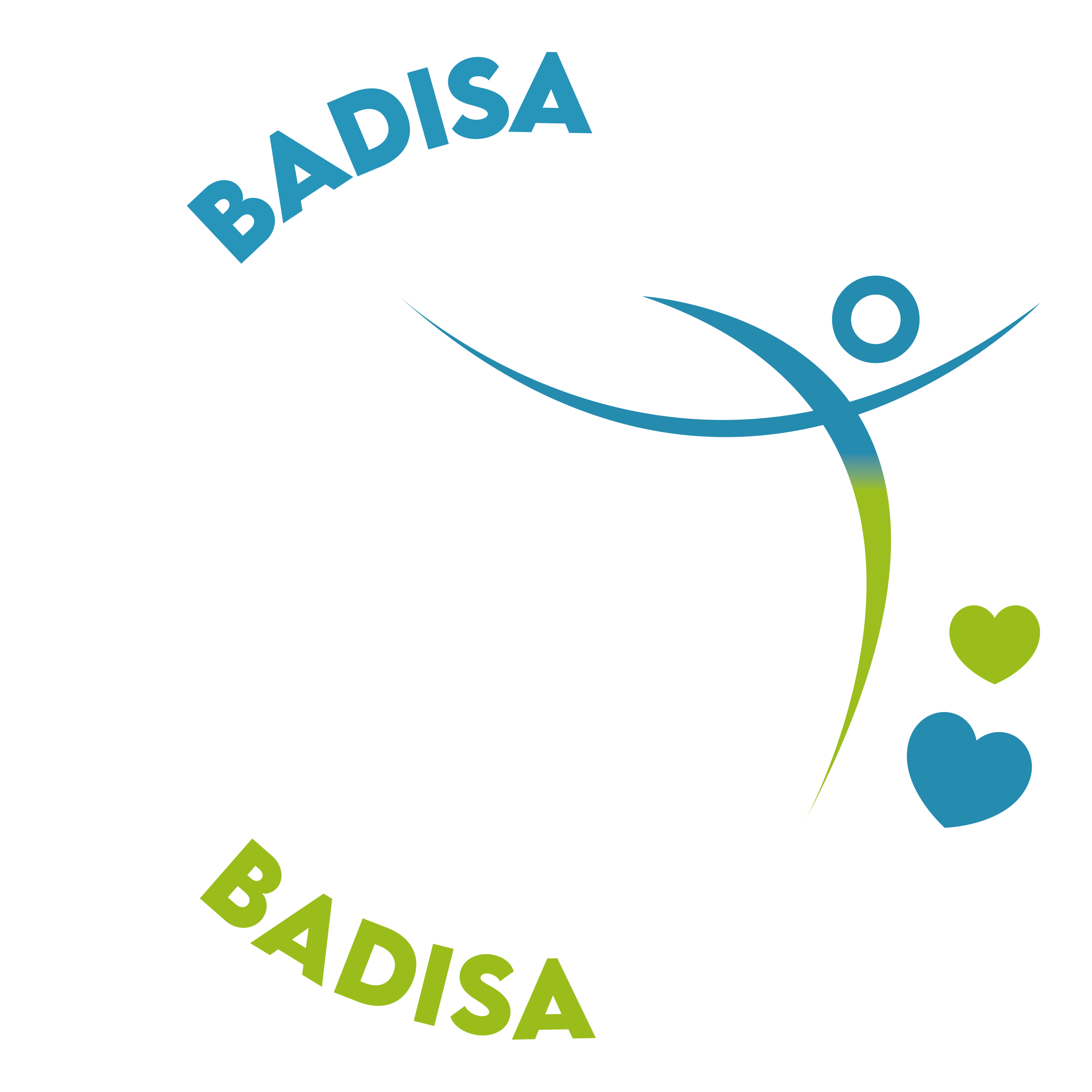Badisa Logo
